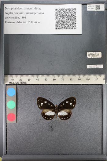 Media type: image;   Entomology 138461